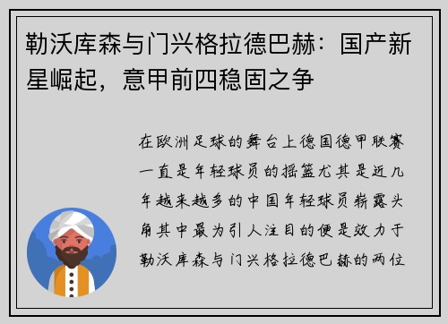勒沃库森与门兴格拉德巴赫：国产新星崛起，意甲前四稳固之争