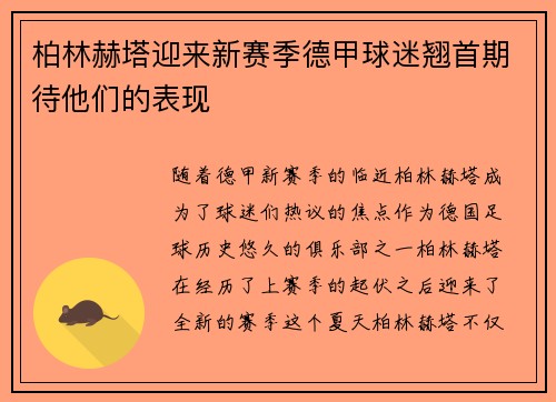 柏林赫塔迎来新赛季德甲球迷翘首期待他们的表现