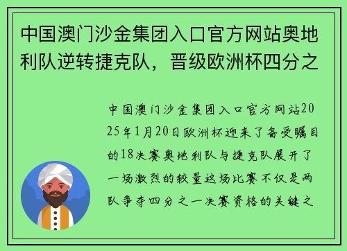 中国澳门沙金集团入口官方网站奥地利队逆转捷克队，晋级欧洲杯四分之一决赛 - 副本