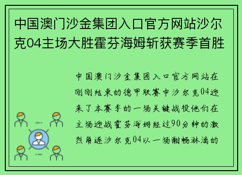 中国澳门沙金集团入口官方网站沙尔克04主场大胜霍芬海姆斩获赛季首胜