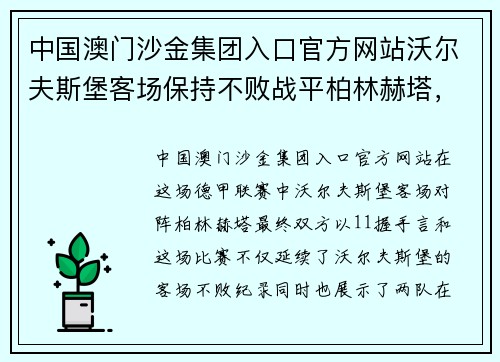 中国澳门沙金集团入口官方网站沃尔夫斯堡客场保持不败战平柏林赫塔，双方持平