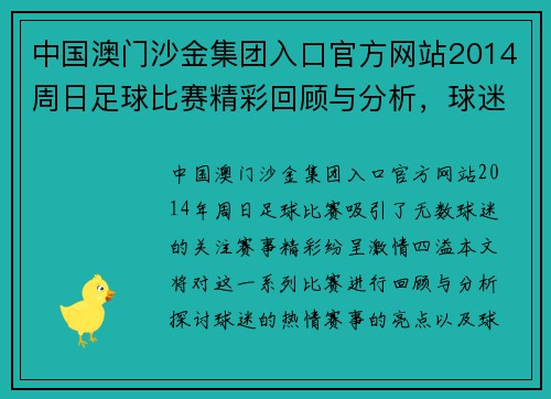 中国澳门沙金集团入口官方网站2014周日足球比赛精彩回顾与分析，球迷热情高涨，赛事亮点纷呈