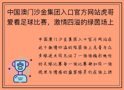 中国澳门沙金集团入口官方网站虎哥爱看足球比赛，激情四溢的绿茵场上演精彩对决，球迷热情高涨