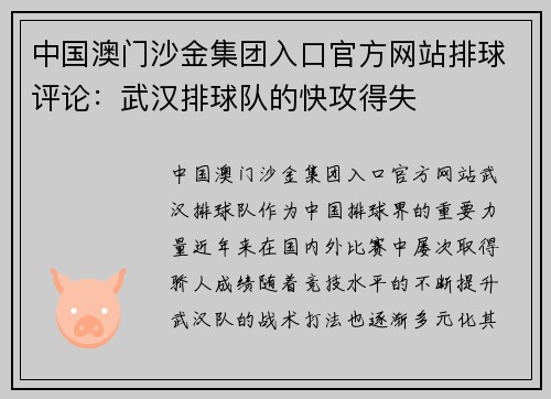 中国澳门沙金集团入口官方网站排球评论：武汉排球队的快攻得失