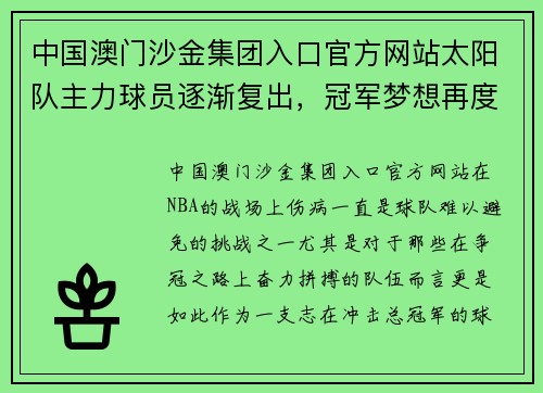 中国澳门沙金集团入口官方网站太阳队主力球员逐渐复出，冠军梦想再度燃起